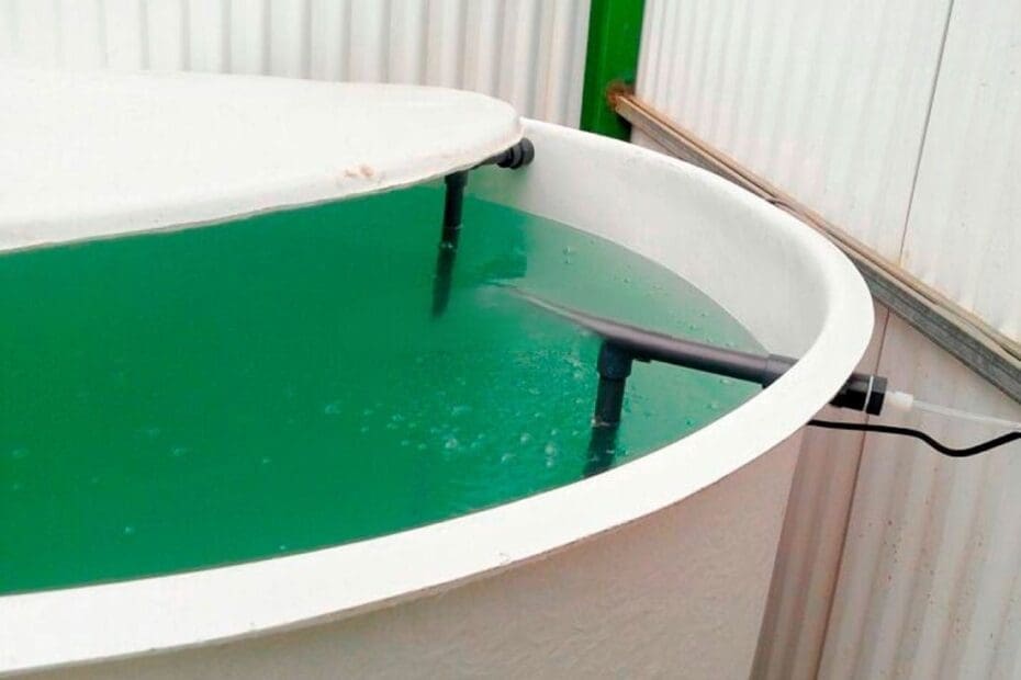 Water treatment foe greenhouses with ozone