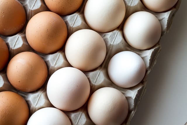 ozone represents a promising solution for the treatment and disinfection of eggs