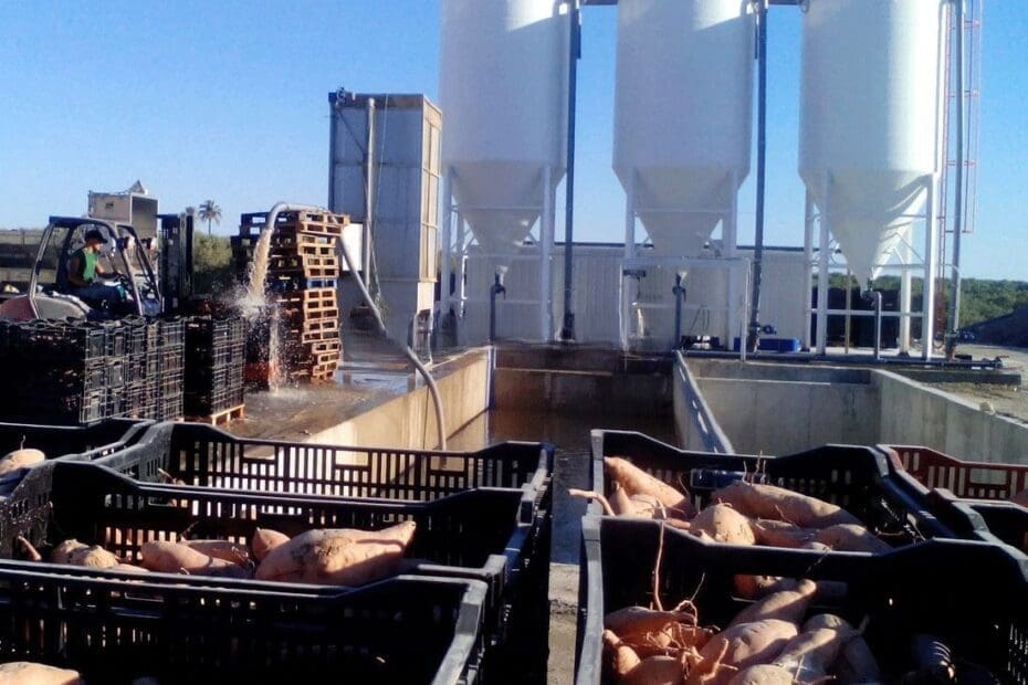 Treating silos with ozone is a powerful method