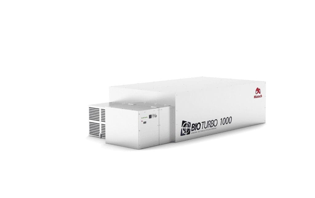 ozone storage fruit