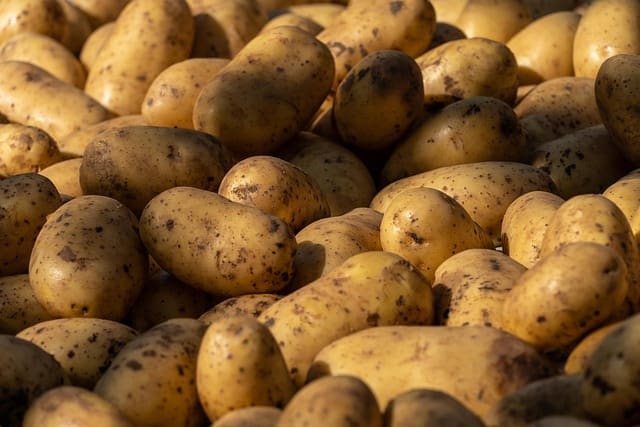 Interested in transforming your potato processing line with ozone?