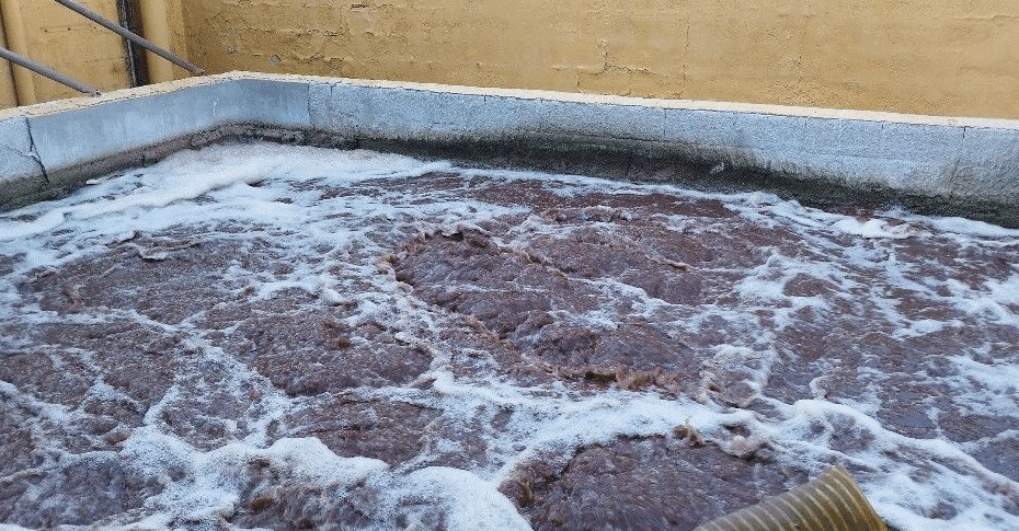 Microplastics in Water and How Ozone Can Remove Them