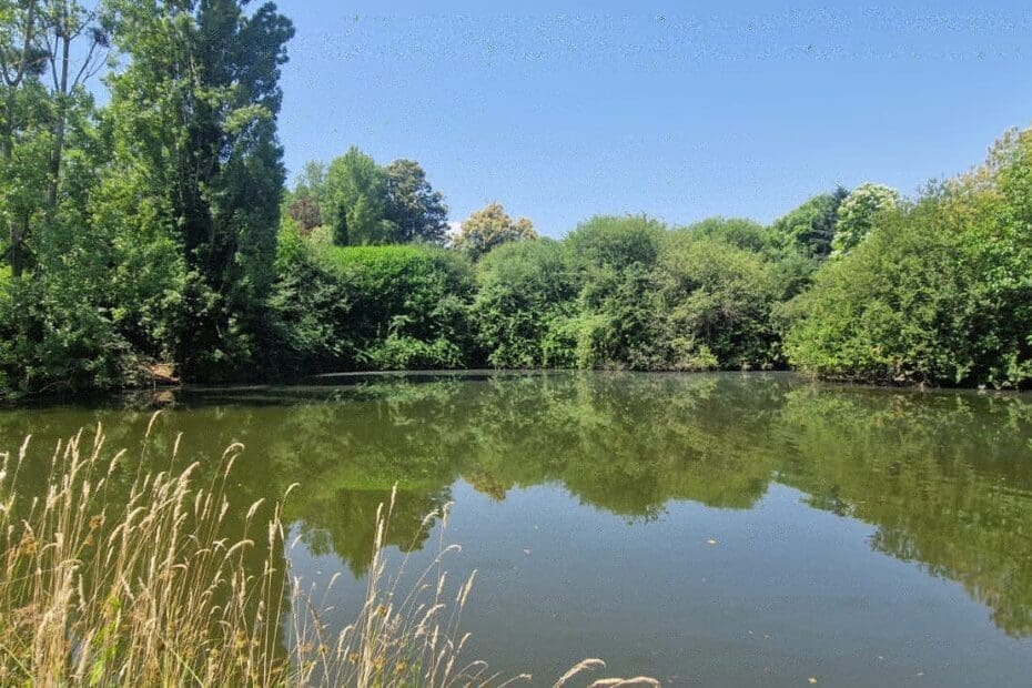 pond water treatment ozone