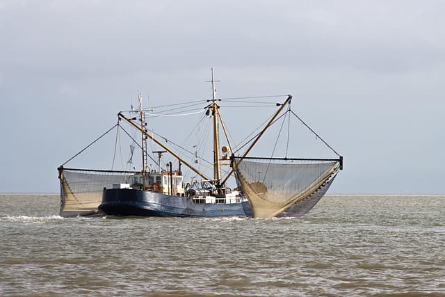 fishing vessel disinfection