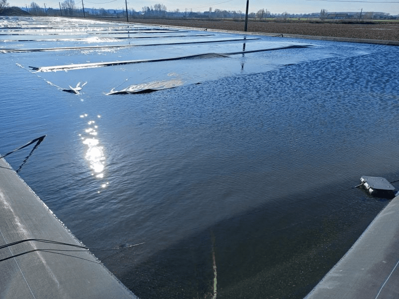 Practical Applications of Ozonation in Water Treatment