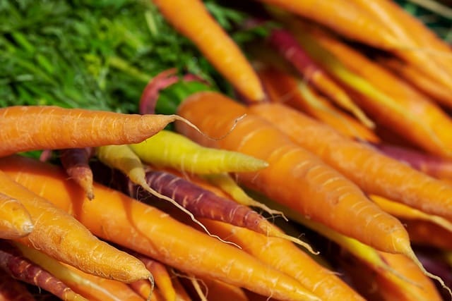 Carrots in flume washer during ozonated water sanitation