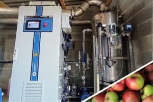 Why Use Ozone in Apple Washing Processes?